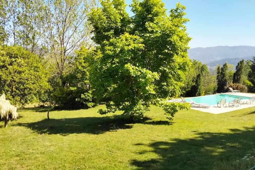 Confort, Fun And Leisure In Douro Rural Space Sande  Exteriér fotografie